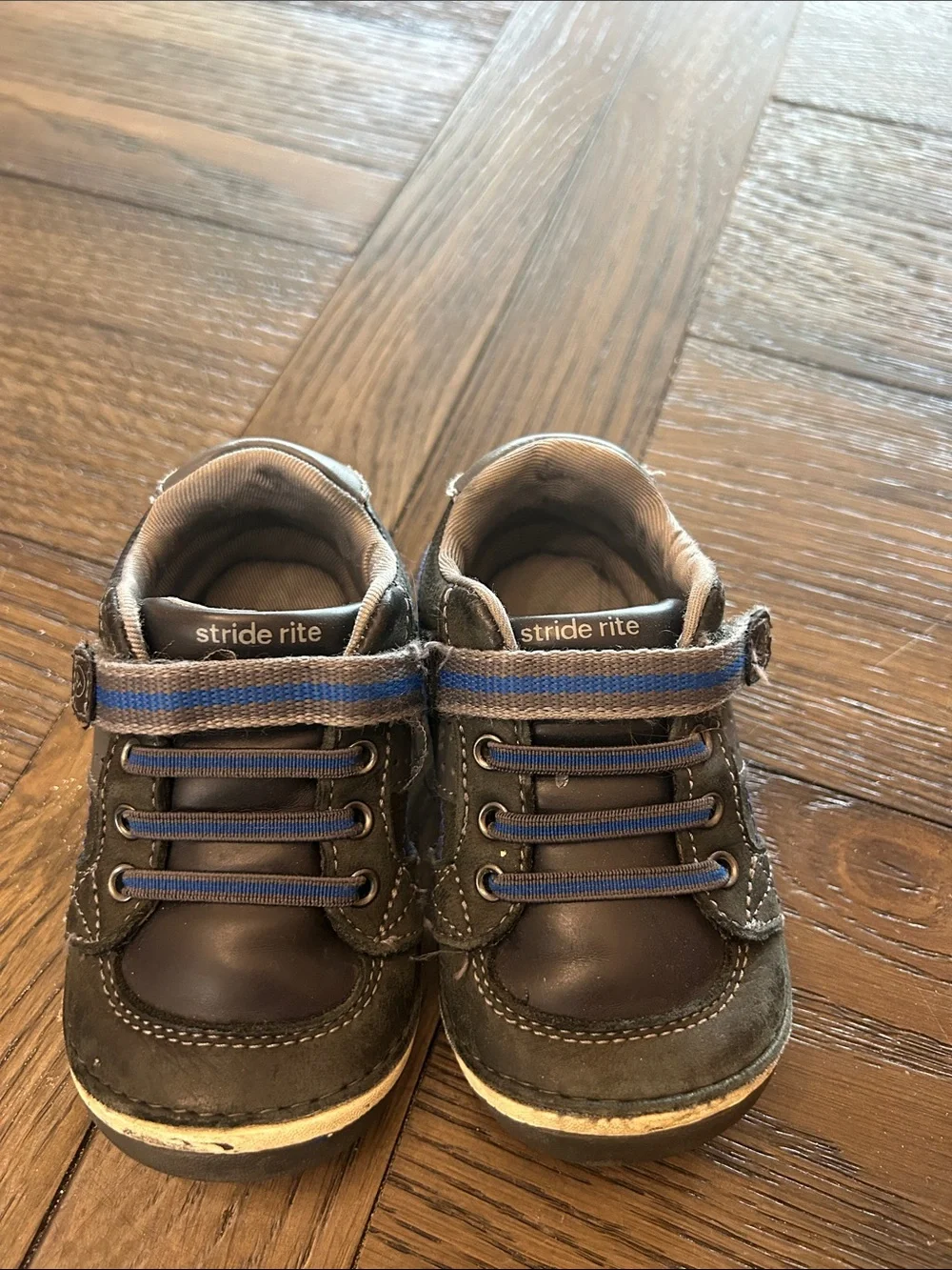 Stride Rite Brown and Blue Toddler Sneakers